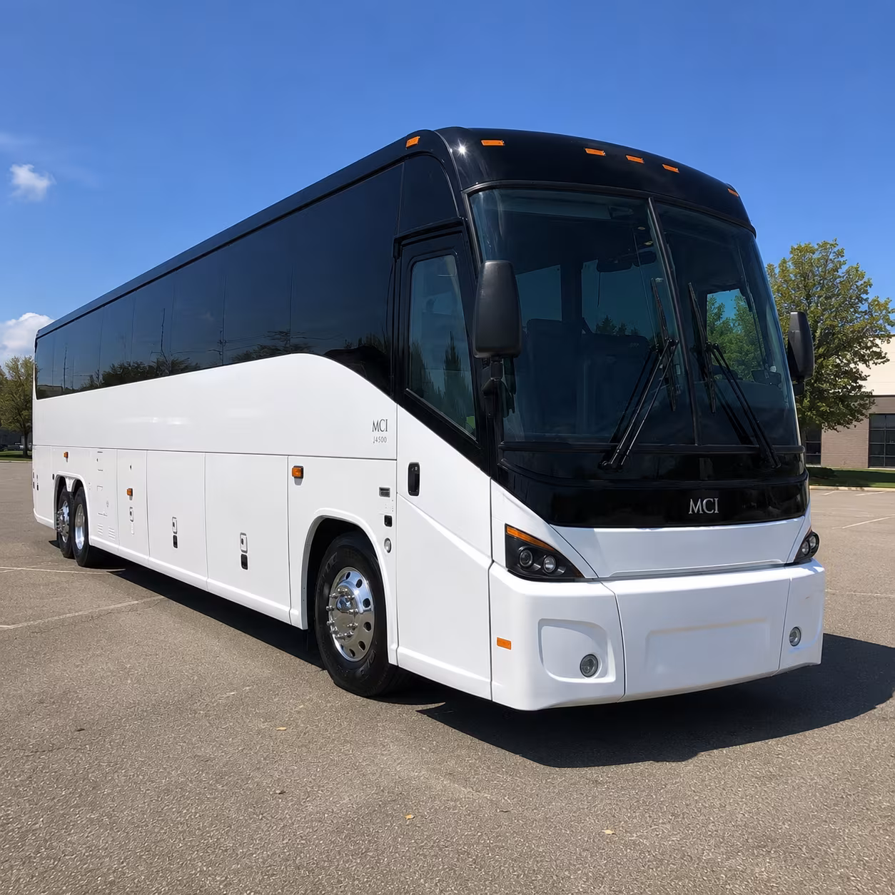 vista 45 passenger charter bus