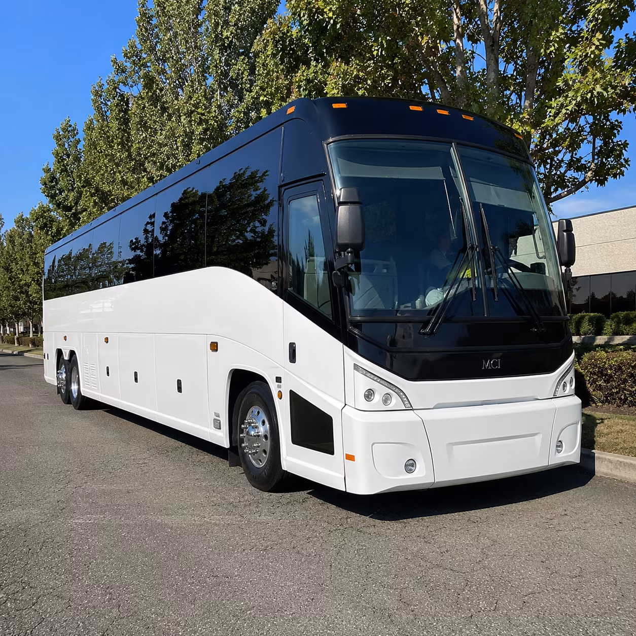 vista 50 passenger charter bus