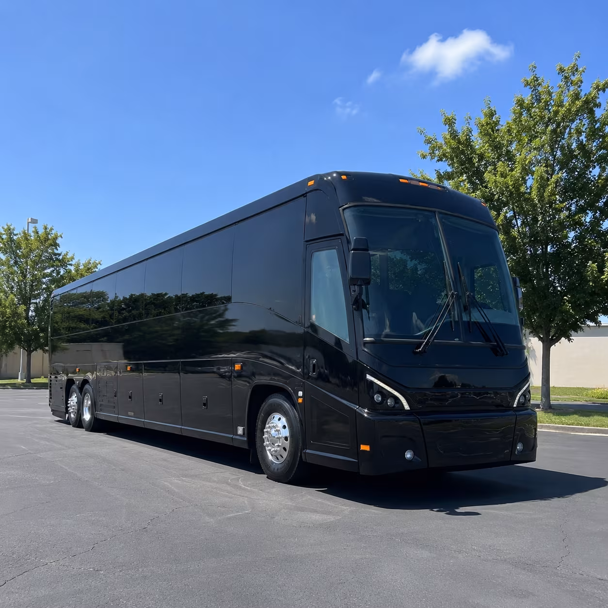vista 56 passenger charter bus