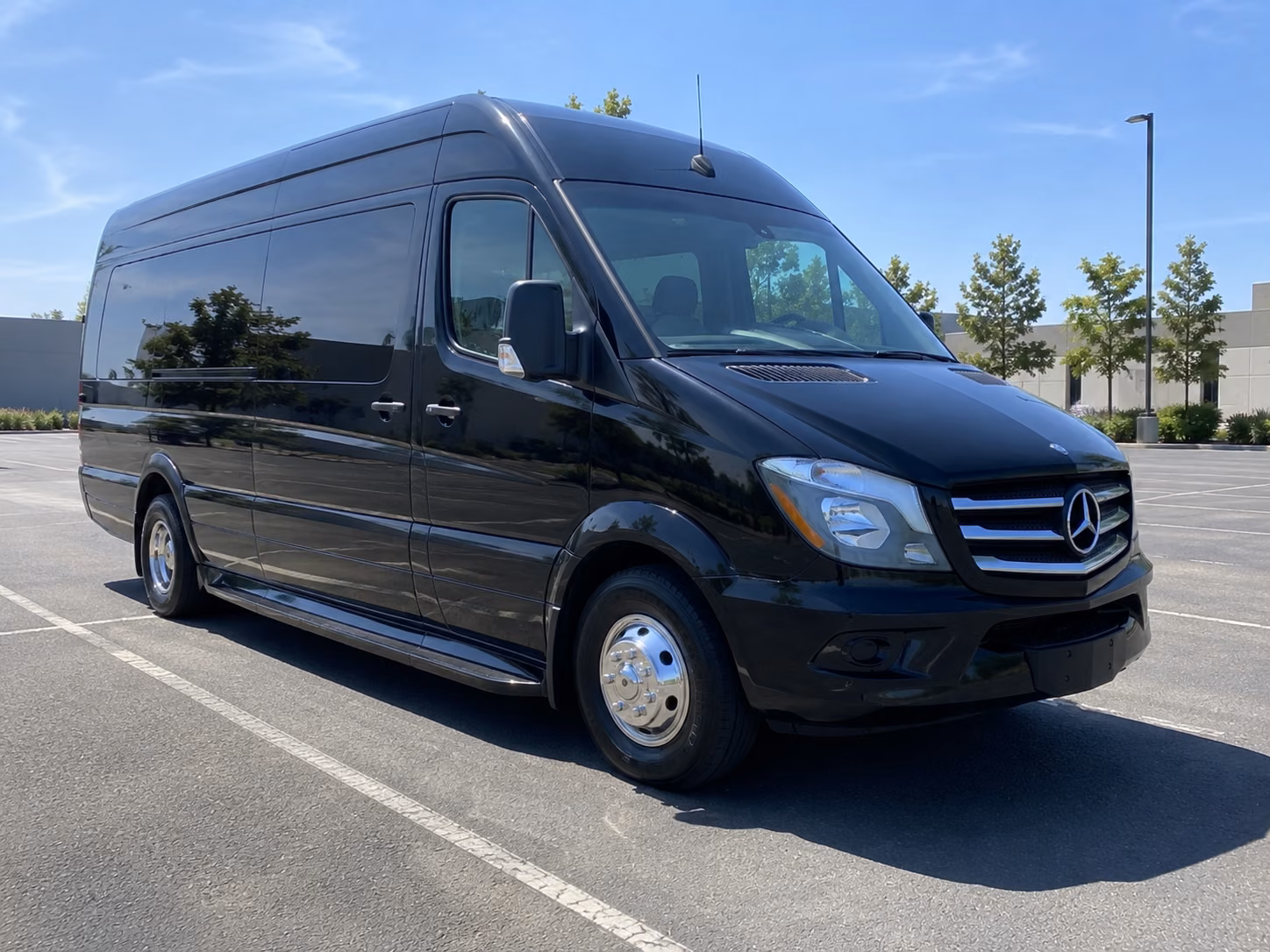 vista sprinter van with driver